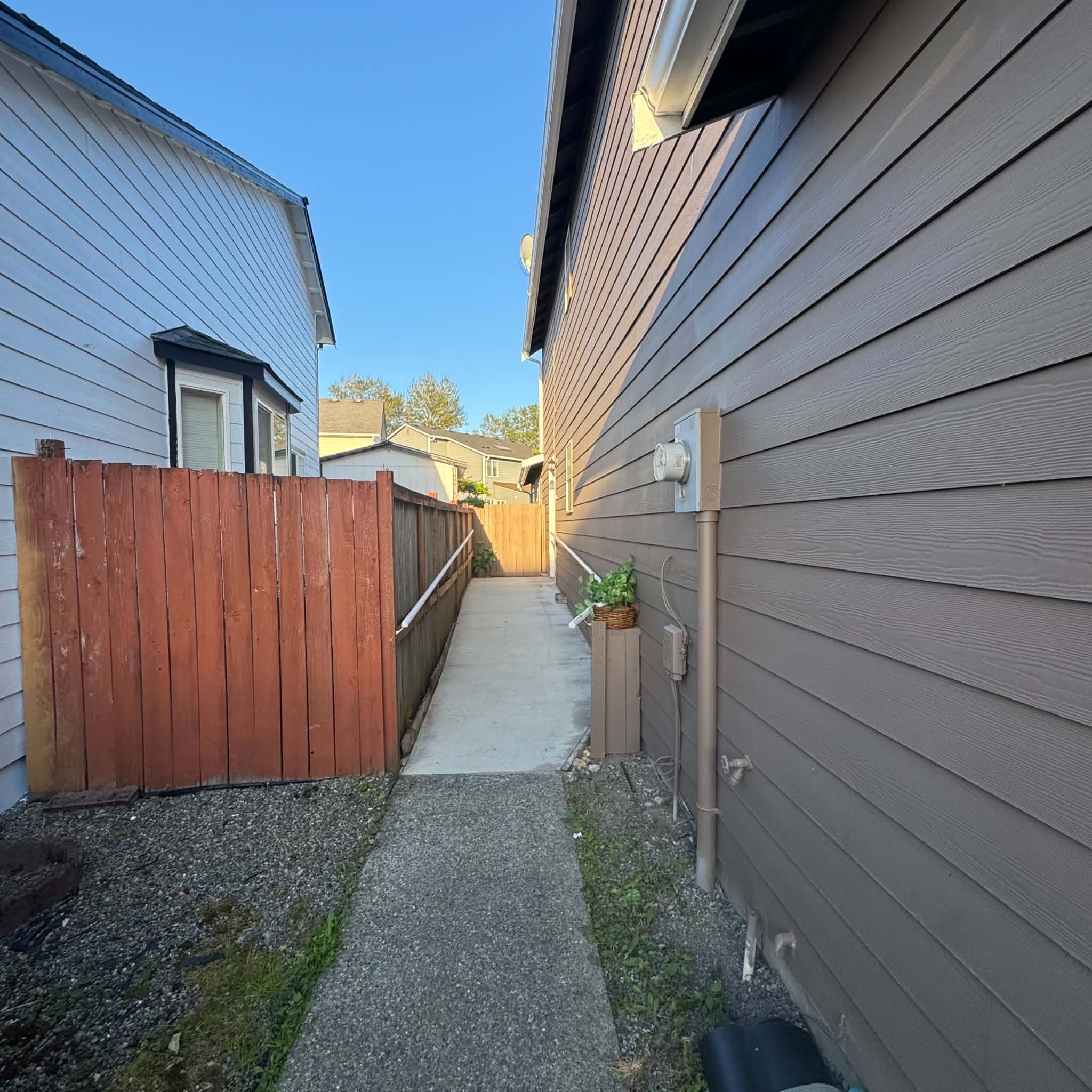 Side walkway along the house